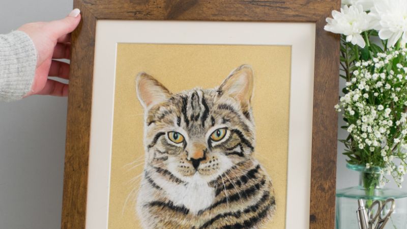Gifts For Cat Lovers